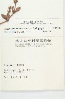 伯格草藏品圖，第2張