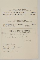 柔毛艾納香藏品圖，第2張