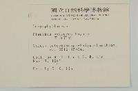 玉山石竹藏品圖，第2張