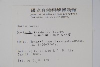 臺灣小蘗藏品圖，第2張