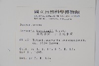 臺灣小蘗藏品圖，第2張