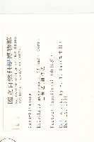 黑果馬交兒藏品圖，第2張