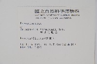 臺灣附地草藏品圖，第2張