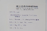 仙鶴草、白鶴靈芝藏品圖，第2張