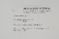 青葙藏品圖，第2張