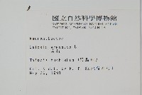 青葙藏品圖，第2張