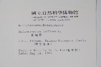 狗尾草藏品圖，第2張