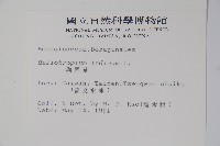 狗尾草藏品圖，第2張