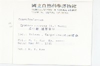 番仔藤藏品圖，第2張