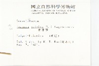 番仔藤藏品圖，第2張