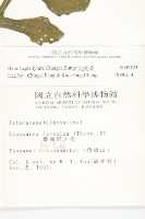 泥胡菜藏品圖，第2張