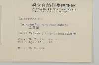 金粟蘭、珠蘭雞腳蘭茱蘭藏品圖，第2張