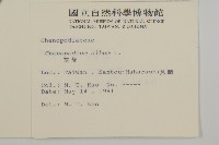 藜、灰藜藏品圖，第2張