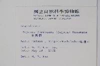 水鴨腳藏品圖，第2張