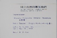 水鴨腳藏品圖，第2張