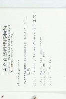 杜英、山杜英、蘭嶼杜英藏品圖，第2張