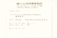 臺灣款冬藏品圖，第2張