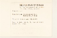 臺灣澤蘭藏品圖，第2張