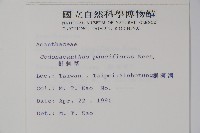 針刺草藏品圖，第2張