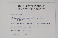 針刺草藏品圖，第2張