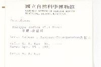 葶藶藏品圖，第2張