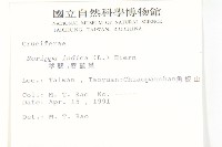 葶藶藏品圖，第2張