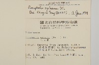 能高籟簫藏品圖，第2張