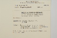 能高籟簫藏品圖，第2張