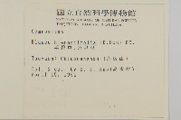 毛將軍藏品圖，第2張