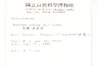 葶藶藏品圖，第2張