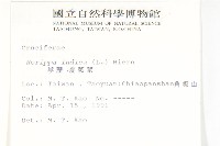 葶藶藏品圖，第2張