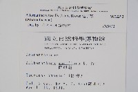 蓮子草藏品圖，第2張