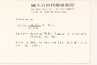 蓮子草藏品圖，第4張