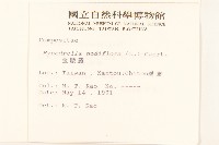 金腰箭藏品圖，第2張