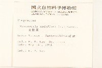 金腰箭藏品圖，第2張