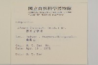 裂葉艾納香藏品圖，第2張