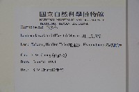 川上氏忍冬藏品圖，第2張