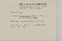 走馬胎藏品圖，第2張