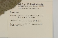 走馬胎藏品圖，第2張