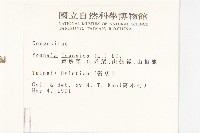 黃鵪菜藏品圖，第2張