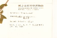 豨薟藏品圖，第2張