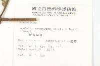 天蓬草舅藏品圖，第2張