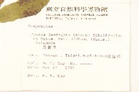 刀傷草藏品圖，第2張