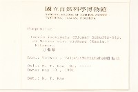 刀傷草藏品圖，第2張