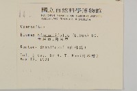 毛將軍藏品圖，第2張