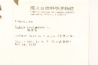 長柄菊藏品圖，第2張