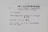 蘆利草藏品圖，第2張