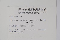 蘆利草藏品圖，第2張