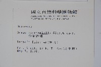 姬黃楊藏品圖，第2張