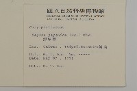 瓜槌草、漆姑草藏品圖，第2張